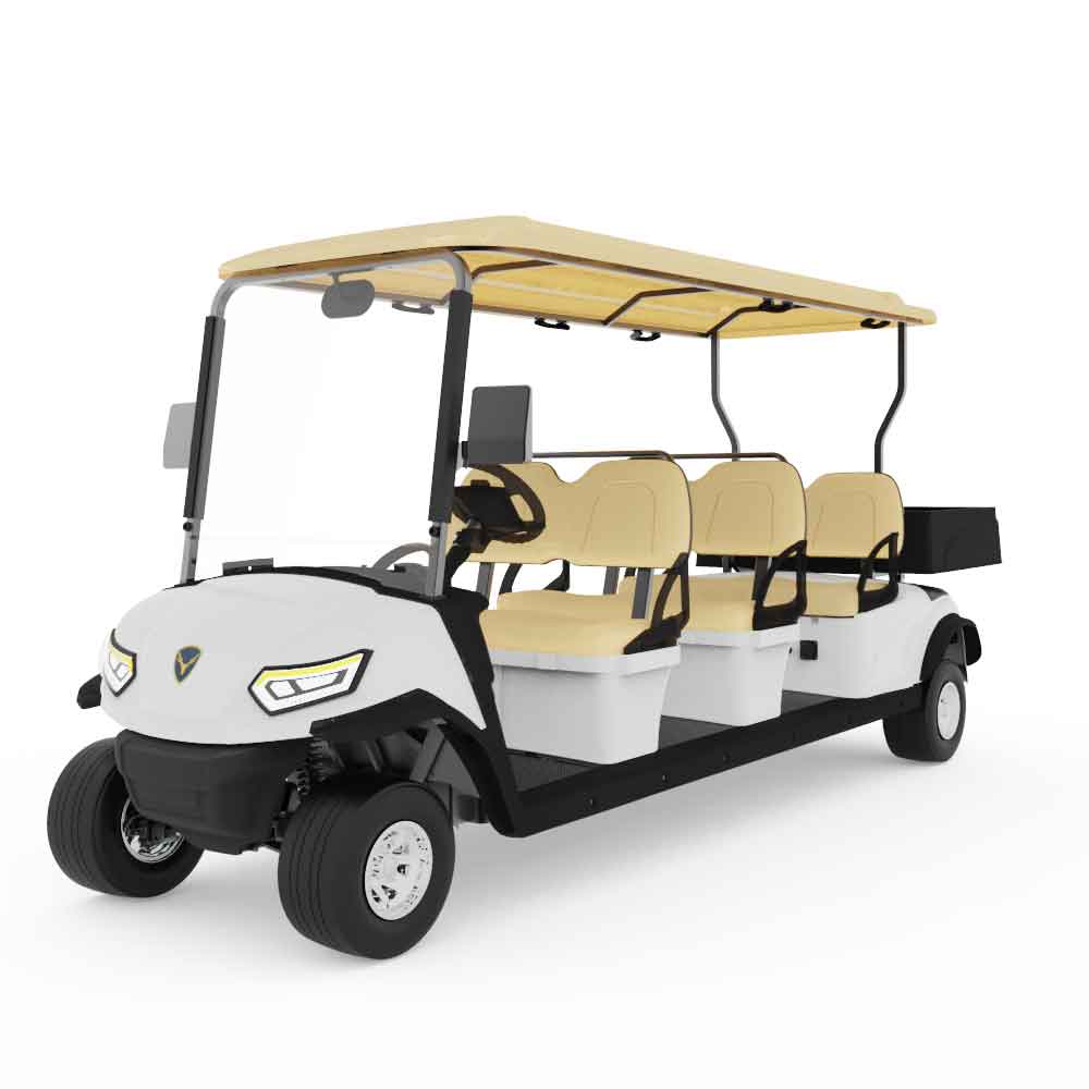 Xe điện sân golf Leroad L6